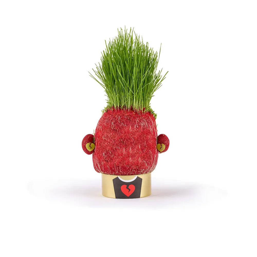 Hape Diy Og Hobby | Hus Og Hjem>Plant Pals