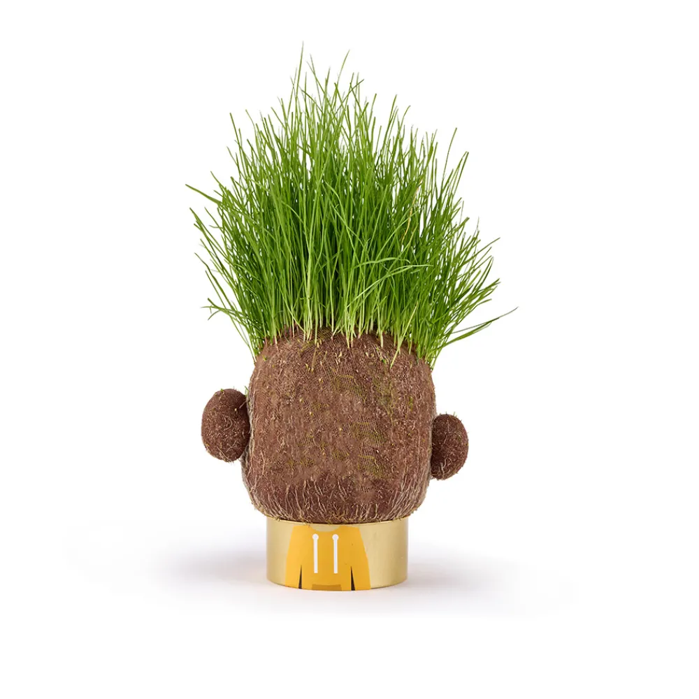 Hape Diy Og Hobby | Hus Og Hjem>Plant Pals