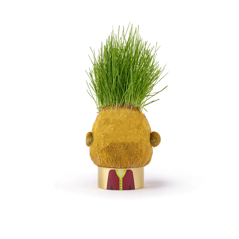 Hape Diy Og Hobby | Hus Og Hjem>Plant Pals
