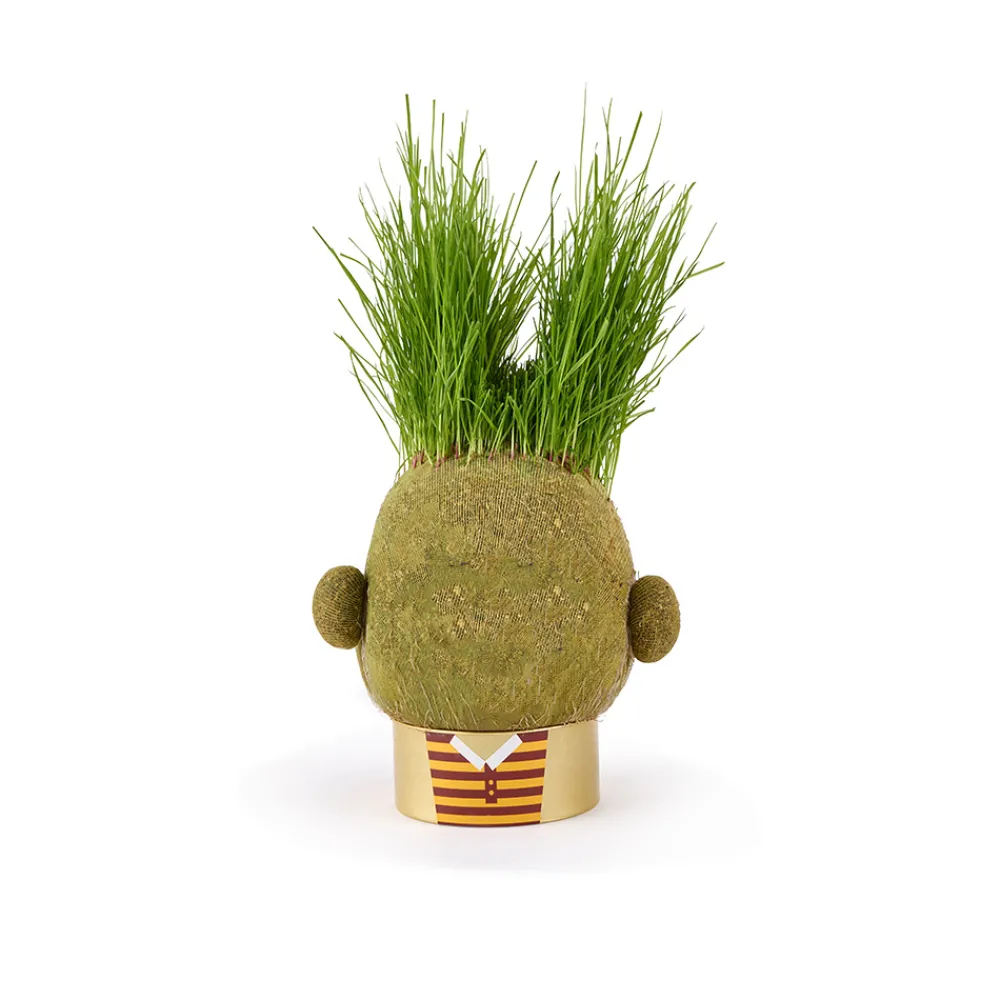 Hape Diy Og Hobby | Hus Og Hjem>Plant Pals