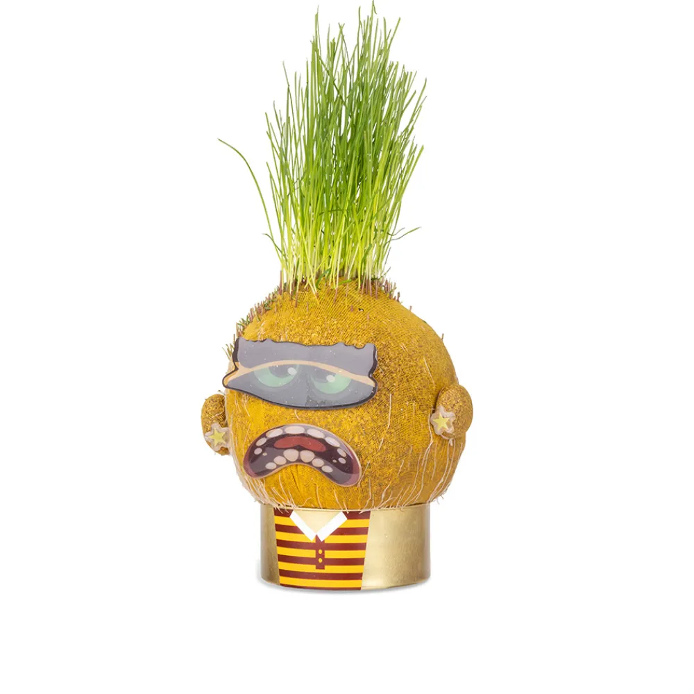 Hape Diy Og Hobby | Hus Og Hjem>Plant Pals