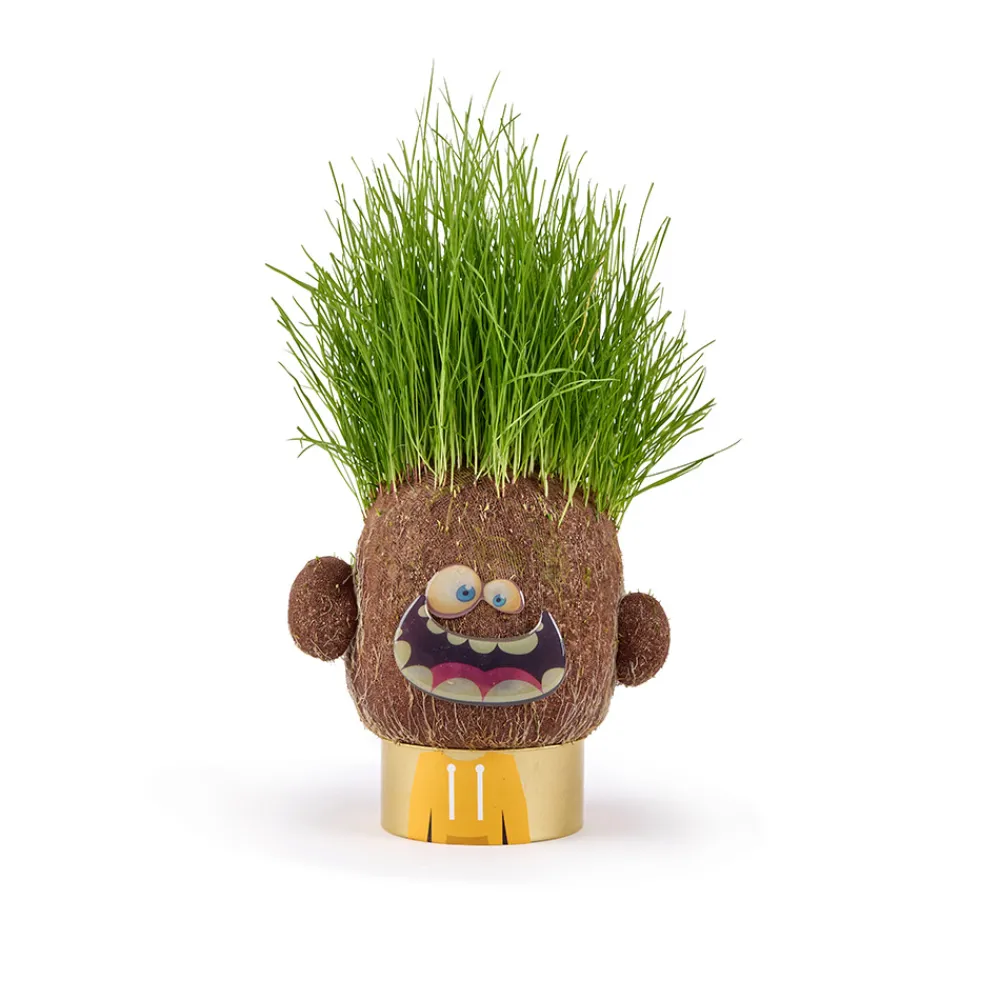 Hape Diy Og Hobby | Hus Og Hjem>Plant Pals