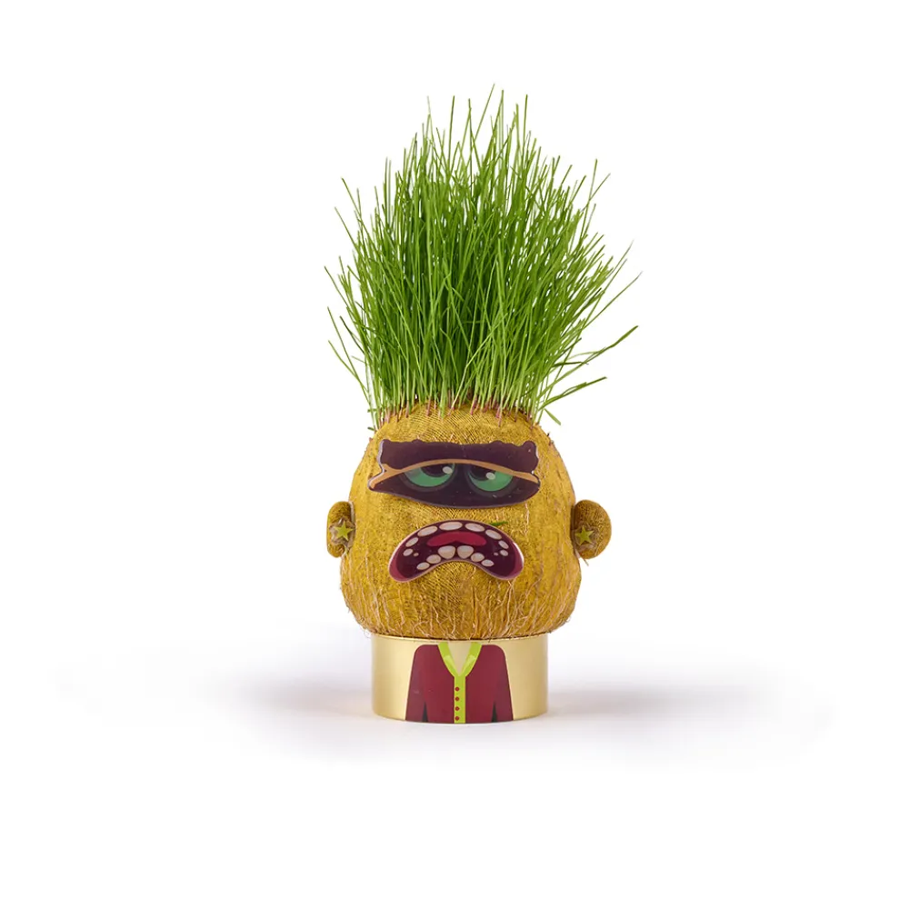 Hape Diy Og Hobby | Hus Og Hjem>Plant Pals