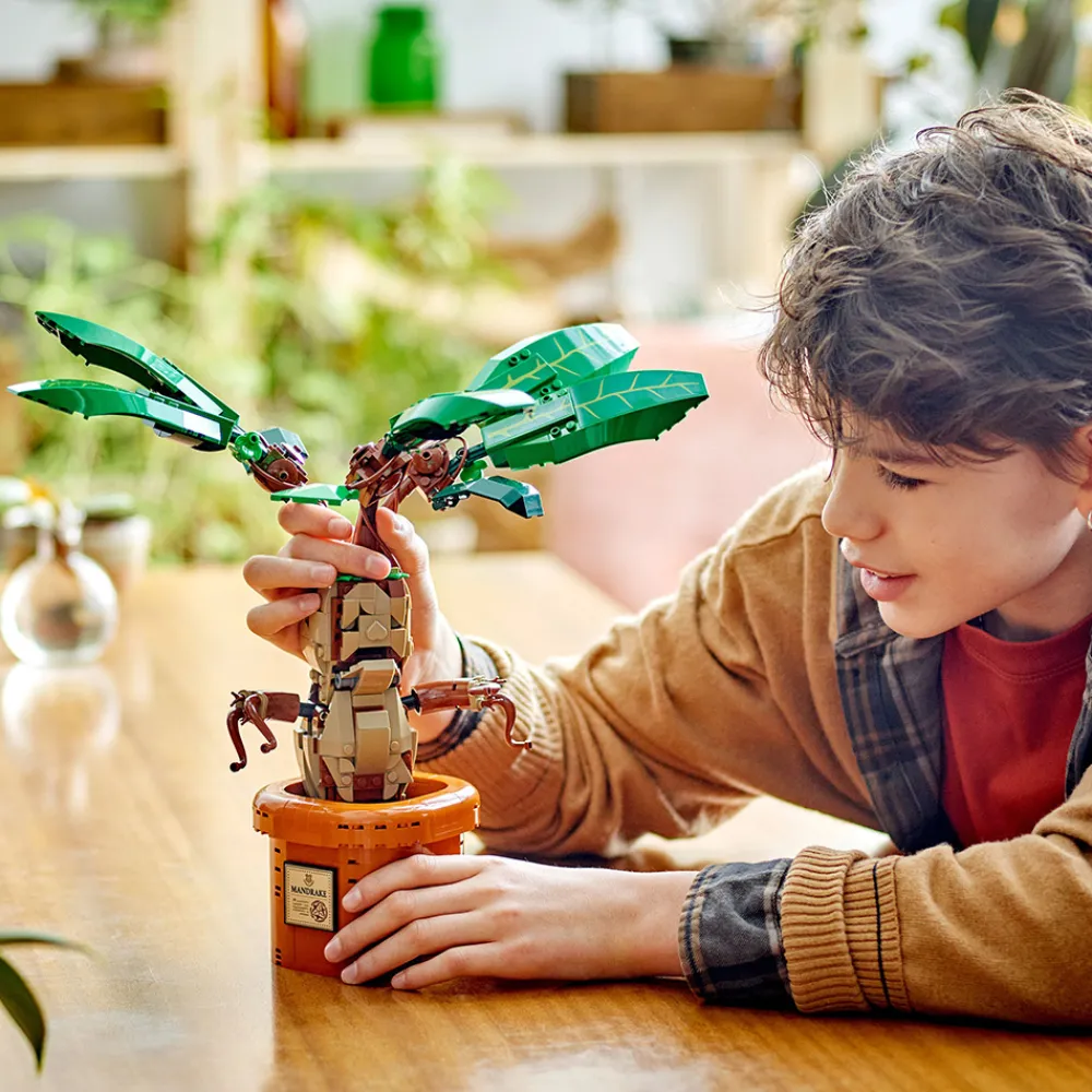 LEGO Lego Harry Potter>76433 Alruneplante