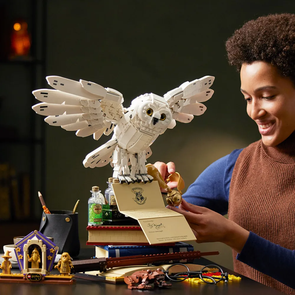 LEGO Lego Hard To Find | Lego Harry Potter>76391 Samlerutgave med kjente Galtvort-figurer