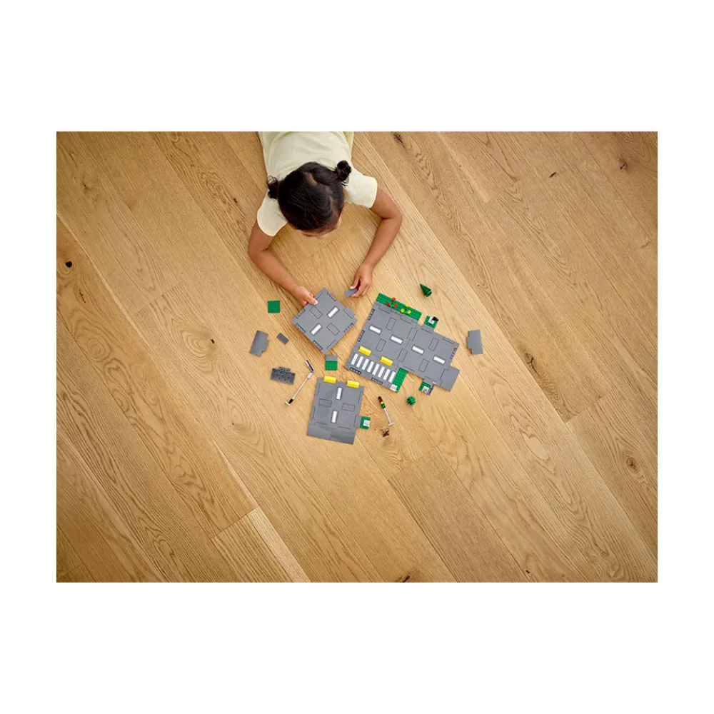 LEGO Lego City>60304 Veiplater