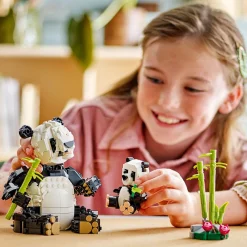 LEGO Lego Creator><noscript><img width=