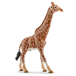 Schleich Schleich>Sjiraffokse