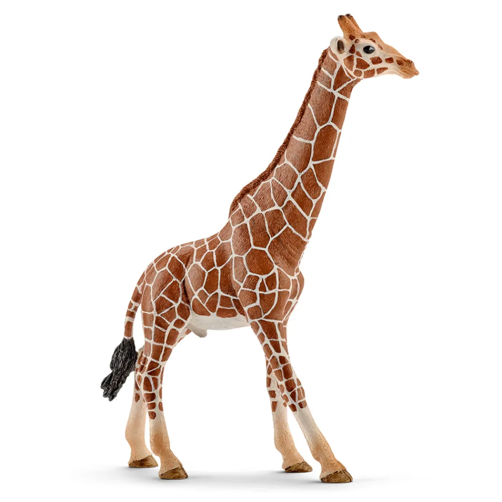Schleich Schleich>Sjiraffokse